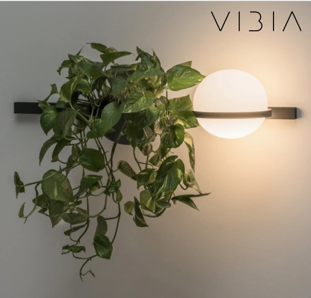 PALMA VIB00325